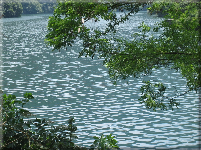 foto Lago del Corlo